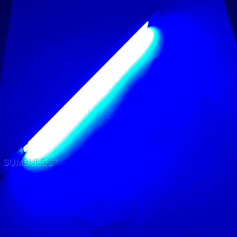 [Sumbulbs] 200x10MM 0422 10W LED Light COB Strip Lamp DC 12-14V 1000LM Verde Amarelo Vermelho Azul Branco Quente Branco Puro Bar Light