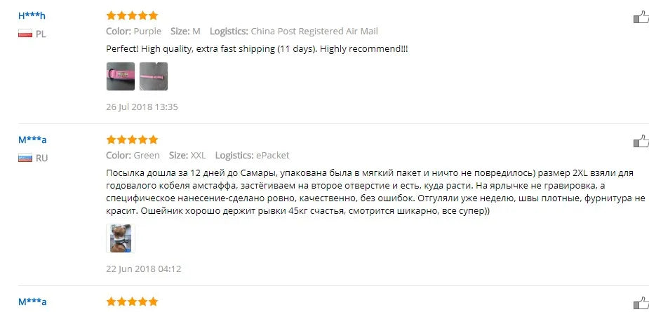 Personalized Leather Dog Collar, Padded Inner Pet Collar, ID for Small, Medium, or Large Dogs, Pitbull Bulldog