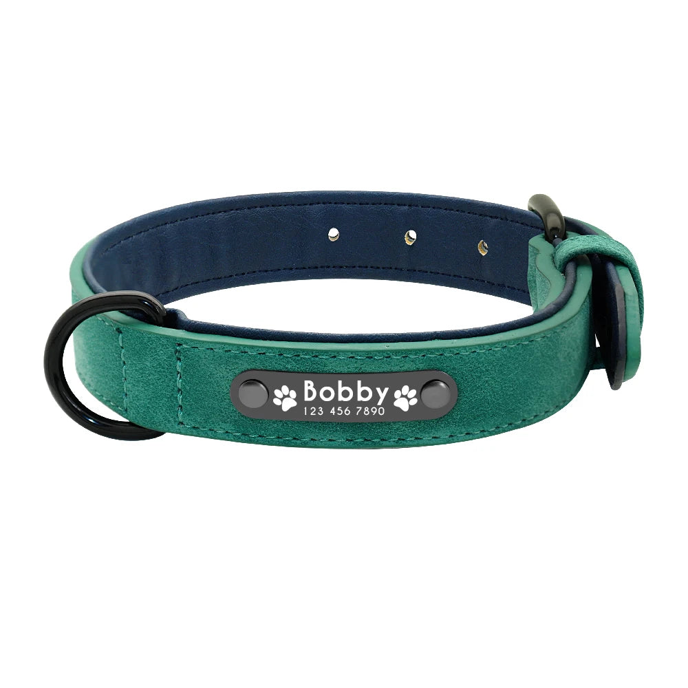 Personalized Leather Dog Collar, Padded Inner Pet Collar, ID for Small, Medium, or Large Dogs, Pitbull Bulldog