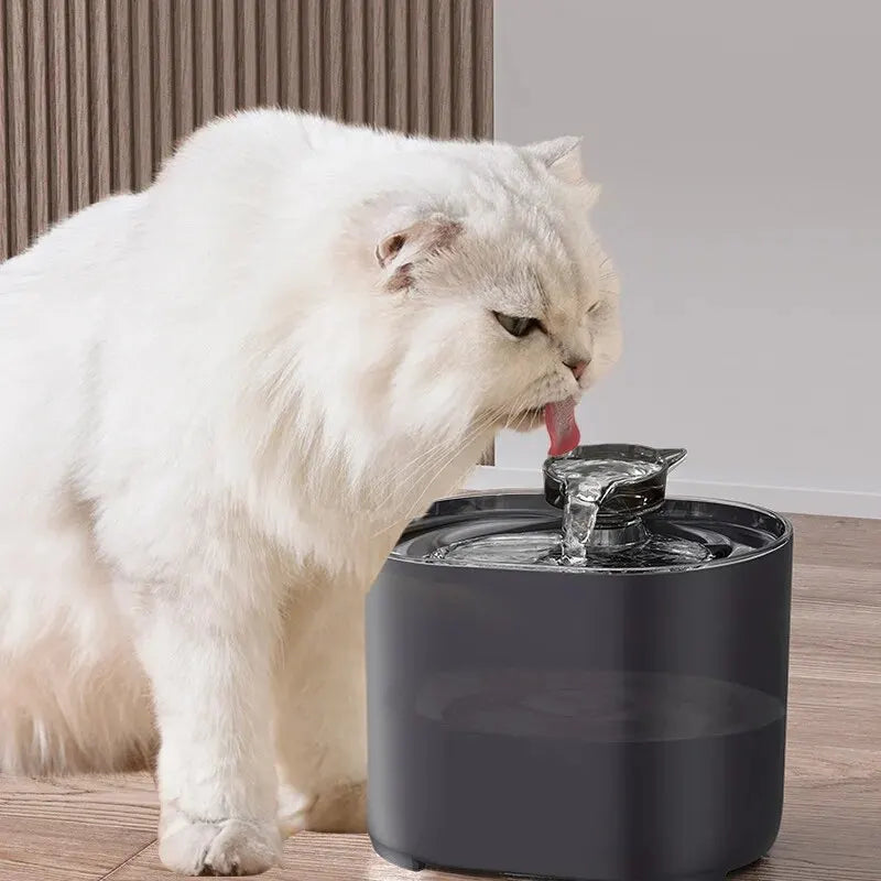 Cat water fountain, automatic recirculation, filtering, dog water dispenser, USB, silent electric pump, cat ear, pets, drinking fountain