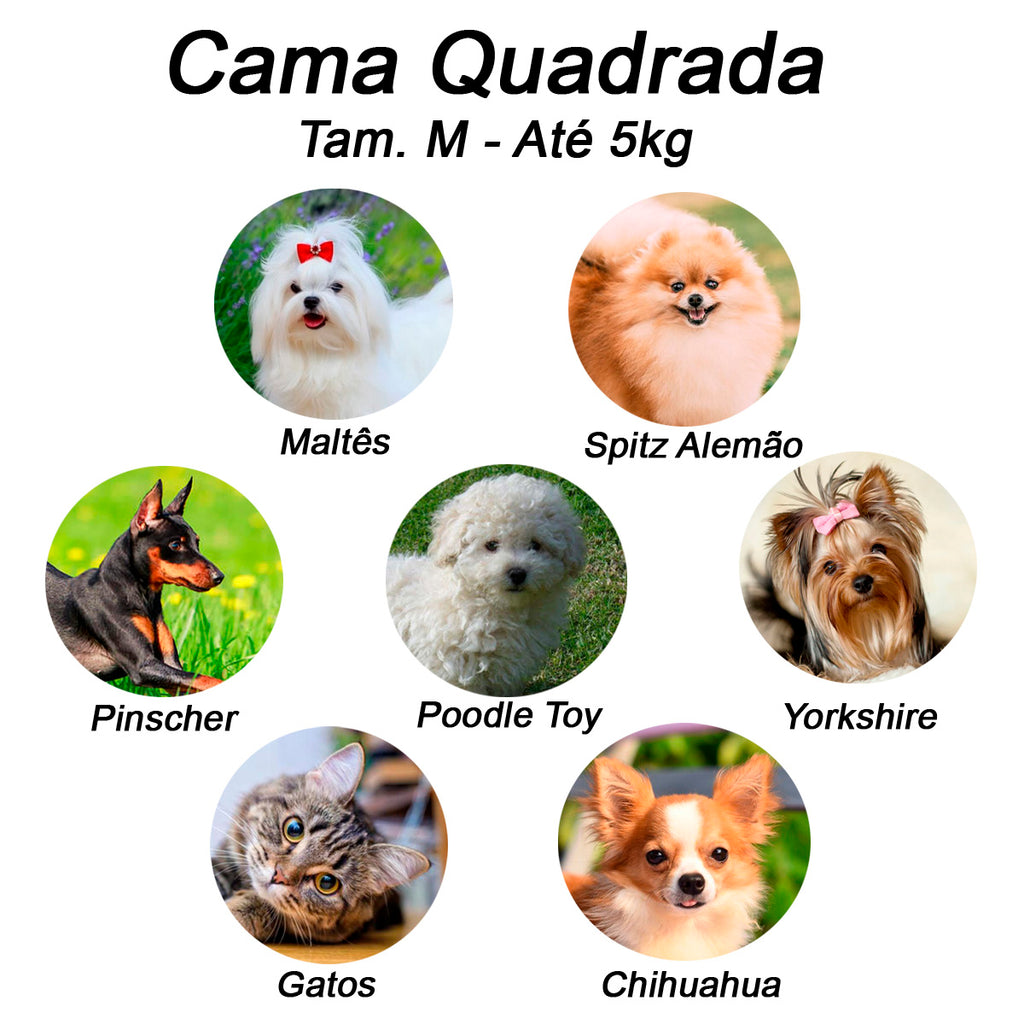 Cama Pet Joaninha para Cães e Gatos