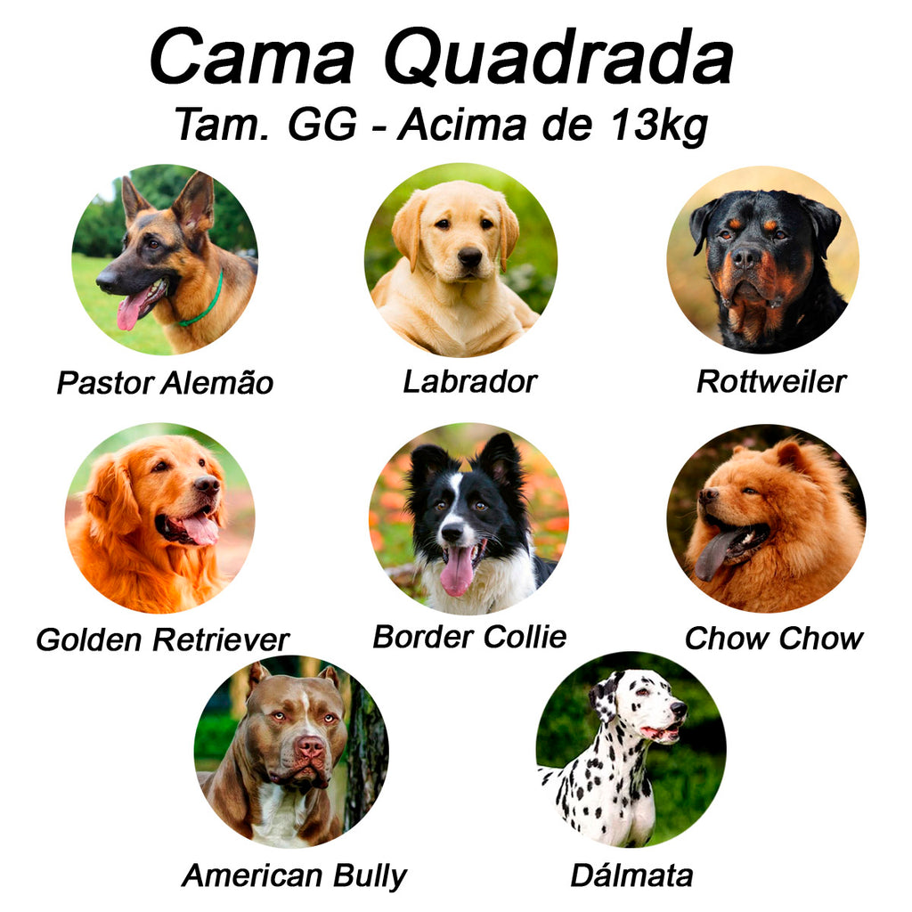 Cama Pet Joaninha para Cães e Gatos