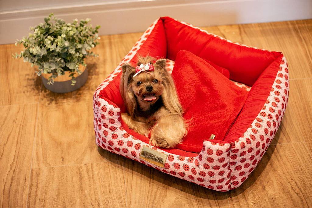Cama Pet Joaninha para Cães e Gatos